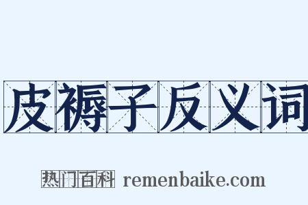 皮褥子反义词是什么意思的图片